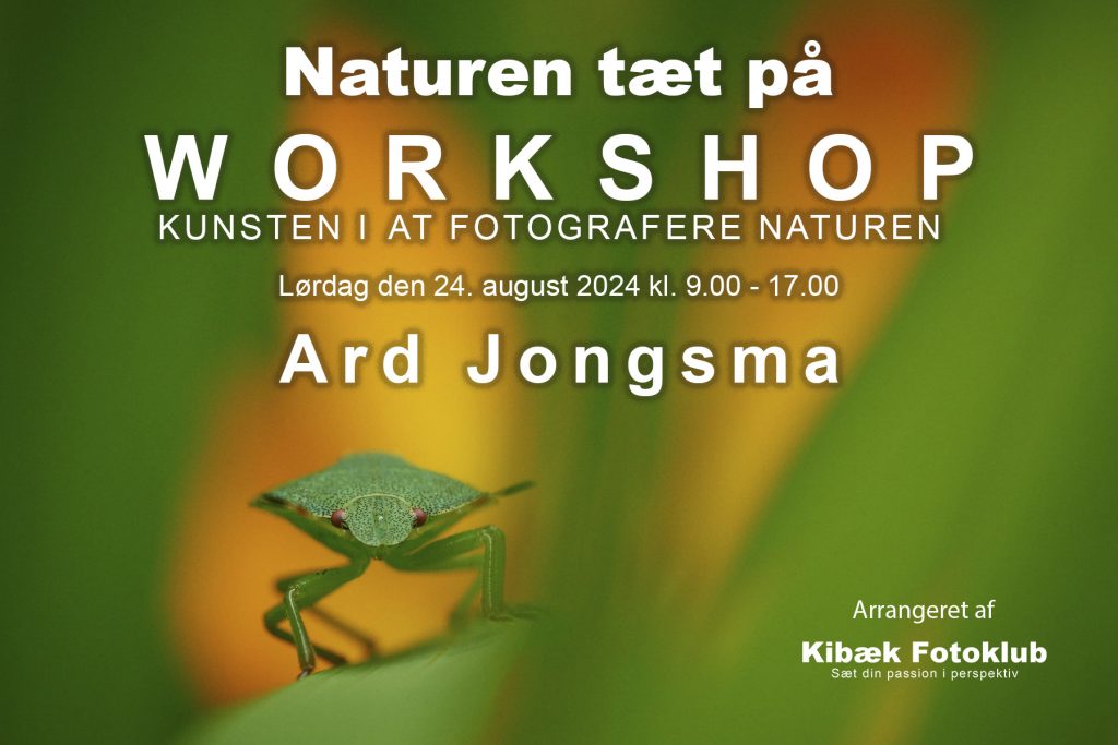 "Naturen tæt på" - Workshop med Ard Jongsma den 24. august 2024 i Halmhuset, Sdr. Felding